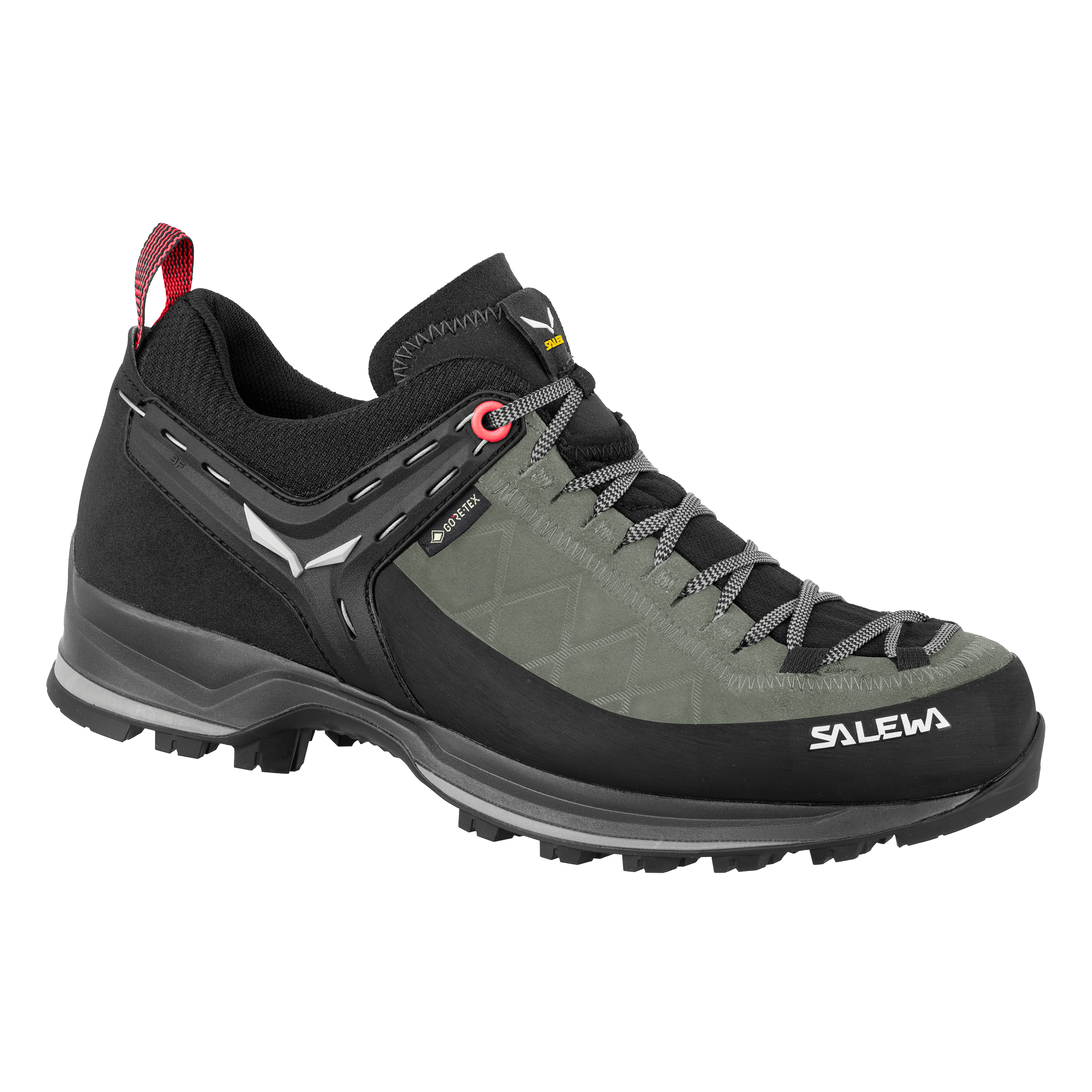 Chaussures Mountain Trainer 2 GORE-TEX® Femme
