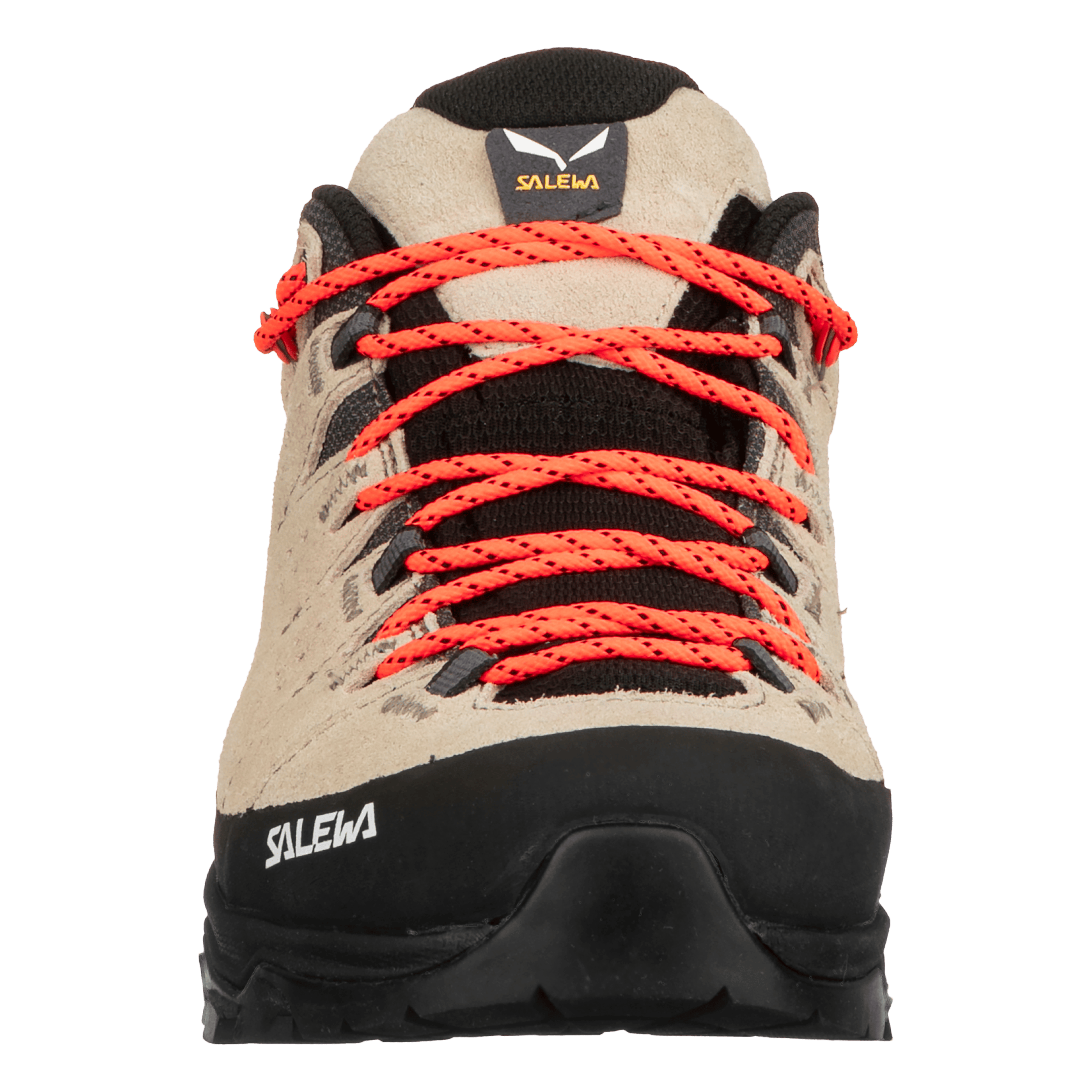 Chaussure Alp Trainer 2 Femme