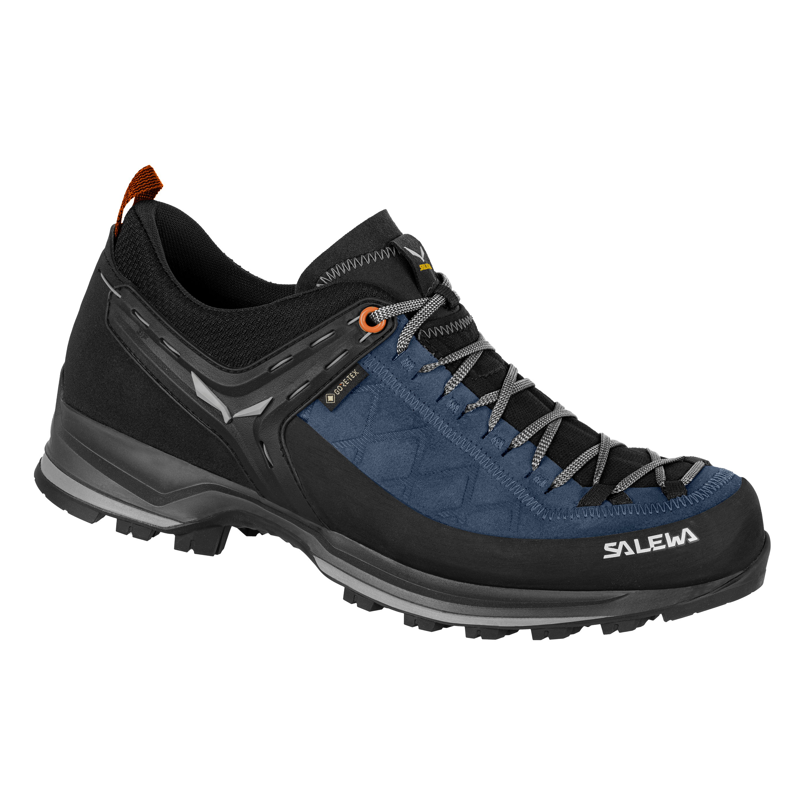 Chaussures Mountain Trainer 2 GORE-TEX® Homme