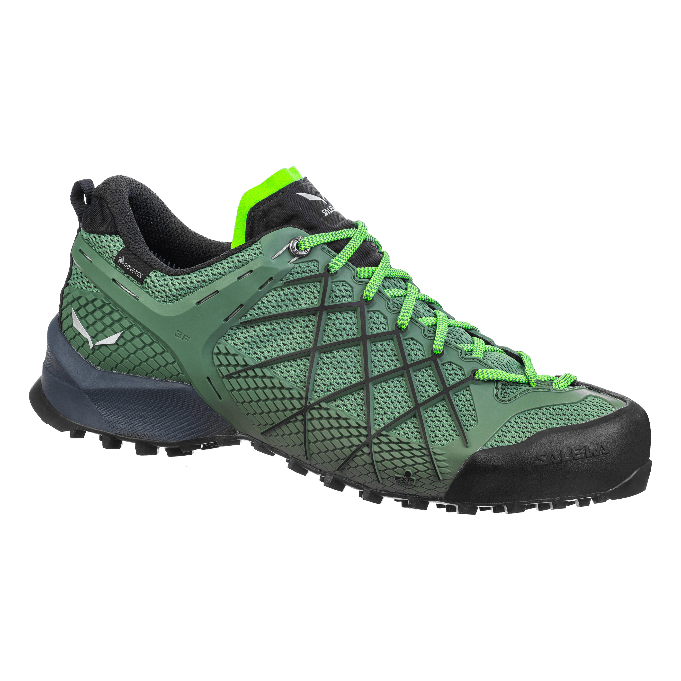 Chaussures Homme Wildfire GORE-TEX®